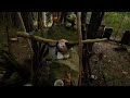 I found Honeybees in this dreamy Forest! 🐝🌲 | Virtual Forest Walk | Austria | 4K