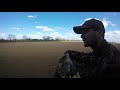 Pigeon Shooting -  Decoying the Drillings