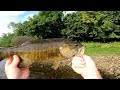 HOW to Fish Jigs in MOVING Water! - (Live Crawdads and More!)