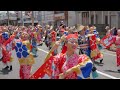 十人十彩 よさこい祭り 愛宕競演場 2024年8月10日 4K