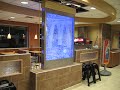 Custom Bubble Wall installed at McDonalds, Elk City, Oklahoma