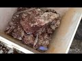 Finding an opal pocket: Andamooka mining.