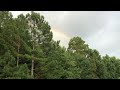 Rainbow over my neighborhood