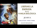 LIBERAR LA ENERGÍA DE TU FAMILIA BIOLÓGICA💗💫Mensaje de Jeshua 🦋Canalización Pamela Kribbe