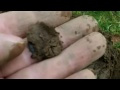 Metal Detecting UK - My first Gold coin!!