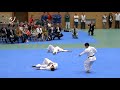 Karate Ryuei-ryu  Anan Dai kata + Bunkai  空手劉衛流  アーナン大 型 + 分解