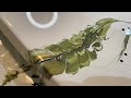 Ninja Swipe Wildflowers Pt 2 - Abstract Art  - Fluid Art