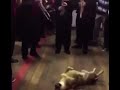 Dog dies while mariachi band is playing