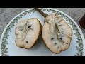 ആത്തയ്ക്ക | CUSTARD APPLE | Wild Sweetsop | Annona Reticulata | TROPICAL FRUITS | KERALA | TROPICS