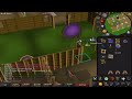 HCIM: I Did All This In One Week #2