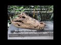 Reptielenhuis De Aarde in Breda een belevenis voor jong en oud door Tine de Jong