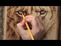 10 Tips for Wood Burning REALISTIC animals