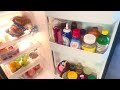 Extreme Refrigerator Cleaning| Restoring Freshness and Organization | Speed Clean with me