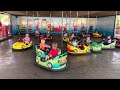 Cedar point bumper cars