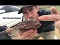 Unbelievable Gold Found in EVERY ROCK I Crushed!