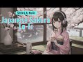Sakura Serenades / #lofi