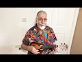 Make Your Own Kind of Music - Song Cover by Steve Parkes