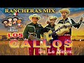 Los Gallos De La Siera Mix Exitos 🔥 Puros Corridos y Rancheras 🔥 Rancheras Viejitas Selectivo Exitos