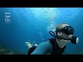 Top 5 Scuba Tankless Systems | Are They Worth It? | Ocean Trust