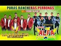 La Nobleza De Aguililla y Alfa 7 - 100% Tierra Caliente Mix 2023 - Corridos Y Rancheras Perronas