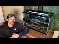 Natural CO2 in the Low Tech Planted Aquarium | Aquarium Science