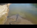 Firiza Baraj - Baia Mare - Maramureș - Drona 4k - Nivel scazut al apei
