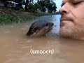 Spanish man swims with baby otter 🦦 (English subtitles)