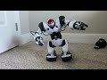 WowWee Robotics - Robosapien X - White