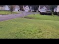 Man Uses Green Laser Pointer to Scare Geese Away From Front Yard - 1438962