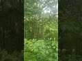 relaxing shower from our cabin in Brown county Indiana it's a family  adventure