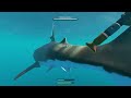 Stranded deep but I meet Mr Megalodon￼