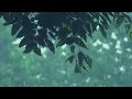 Relaxing Sleep Music and Meditation for Health with Rain ASMR (Nature Instrumental)