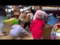 Zon sells wild chickens, vang hoa, king kong amazon