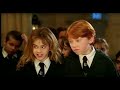 Harry Potter and The Sorcerer's Stone Dubbed By Me