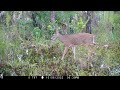 Tim Harrell - Browning Recon Force Advantage Trail Camera Pickup