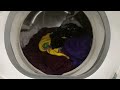 Maytag Neptune front load washer