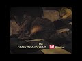 Felix Wheatfield - Channel Intro