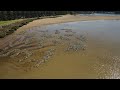 Narooma Wagonga Inlet Living Shoreline