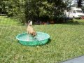 Kairi and Buster Playing in the Pool! - Part Two