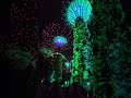 Singapore Supertree Grove Lightshow