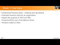 Nonprofit Financial Accounting: 3. Statement of Financial Position (Balance Sheet)