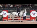 USEA American Eventing Championships 2016 - Sterling Silver