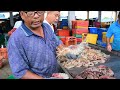 Part 2 Jeti pendaratan ikan Kuala Perlis. Banyak udang harimau saiz AAA yang dapat.