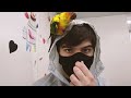 OWL CAFE in Tokyo | Most Adorable Owls and Birds Cafe Vlog