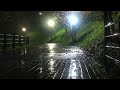 Rainsounds on the lake park trail, White noise that gives you a good night's sleep, ASMR