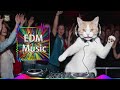 original music🔥 Mashups & Remixes Of Popular Songs 🔥 DJ Remix Club Music Dance Mix 2024