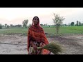 Pakistan Village Life Vlog | Pakistan Punjab Daily Vlog | Punjabi Family Vlog.