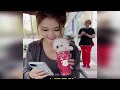 Cute Pomeranian Puppies Doing Funny Things #10 | Cute and Funny Dogs - Mini Pom