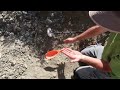You Wont Believe The Gold Nuggets in This Video !  Metal Detecting and Prospecting Big Gold Nuggets