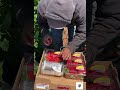 Piscando fresas en California